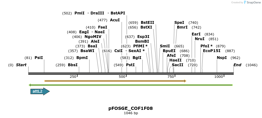 130772_map