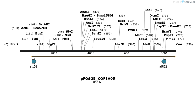 130773_map