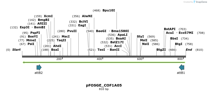 130774_map