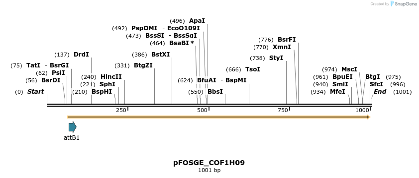 130775_map