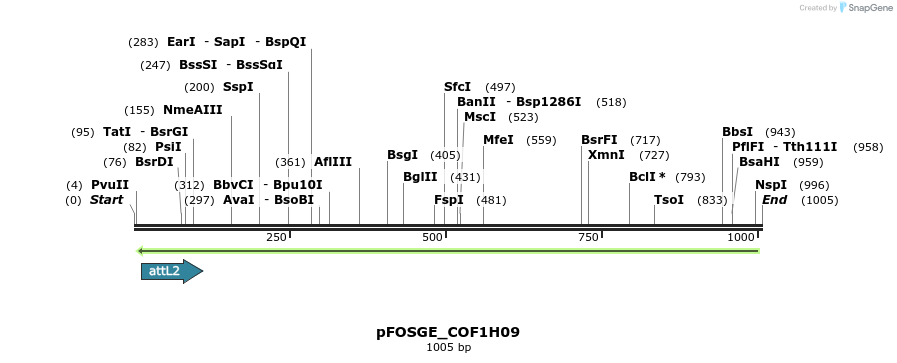 130776_map