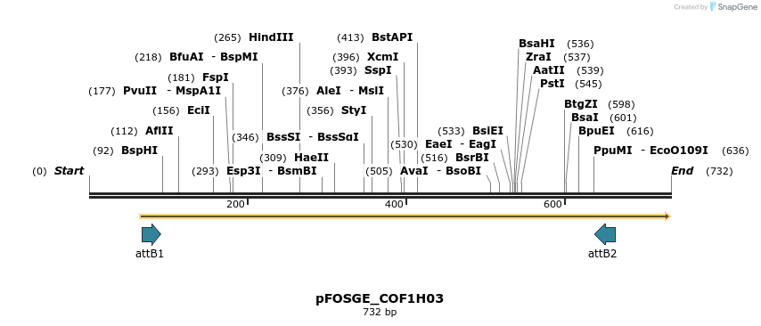 130778_map