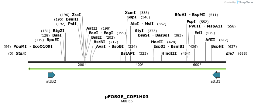 130779_map