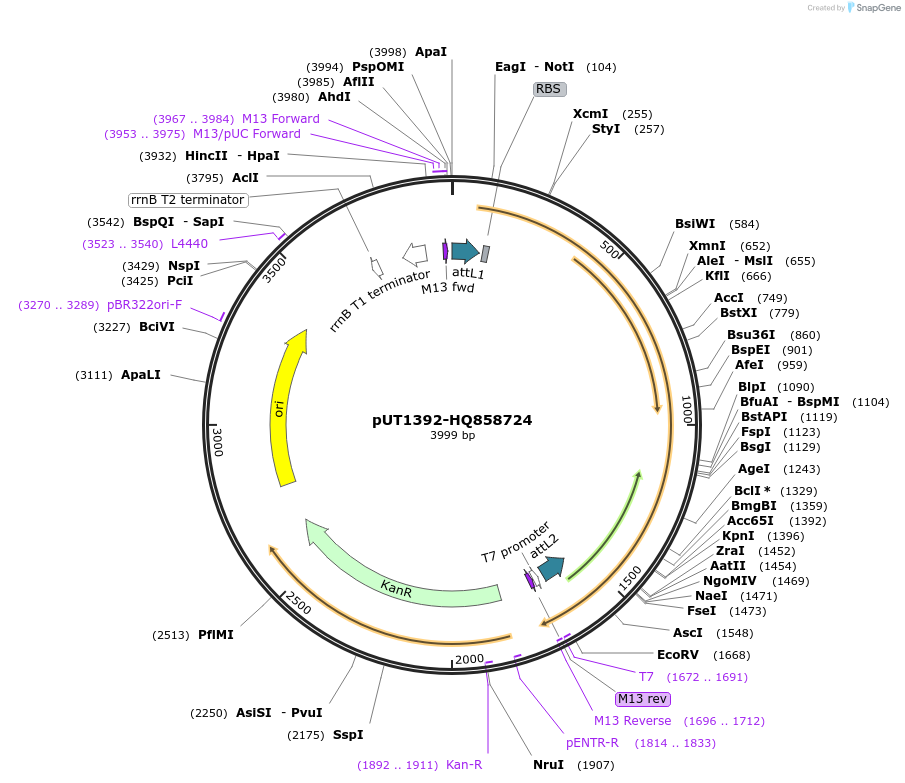 13078_map