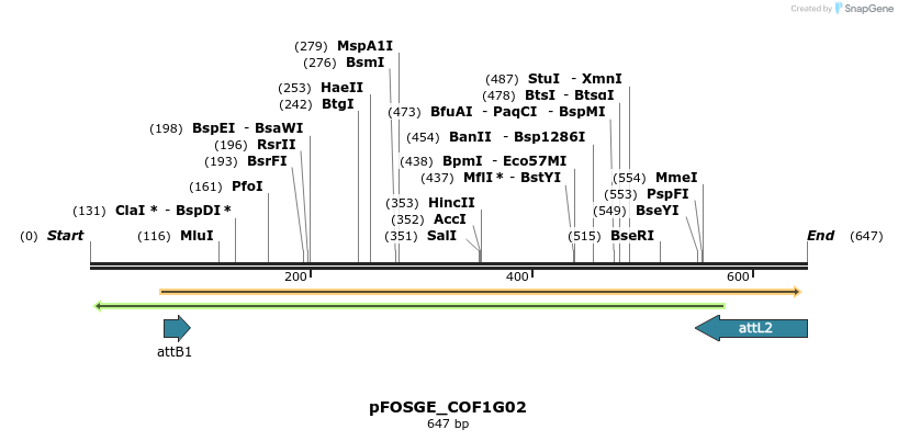 130780_map
