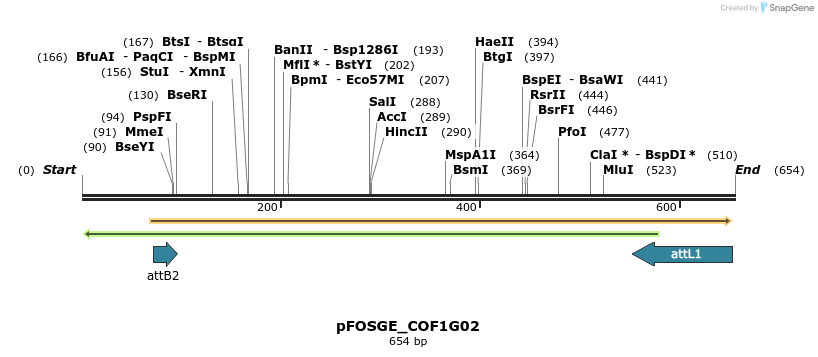 130782_map