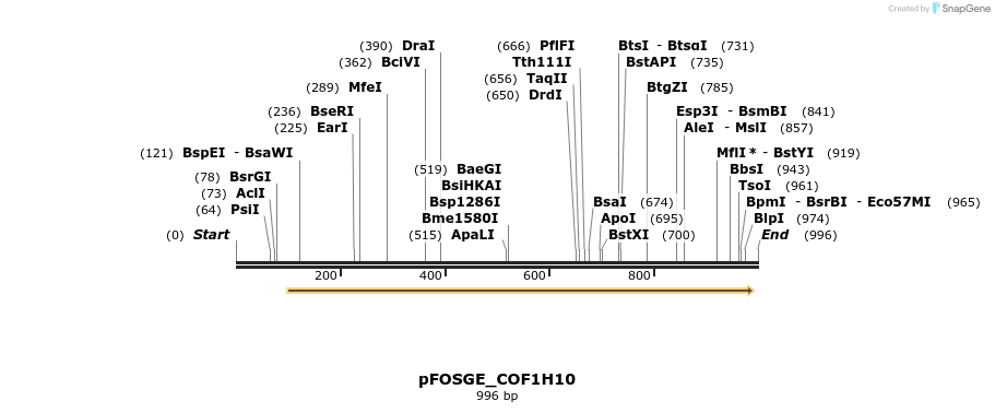 130783_map