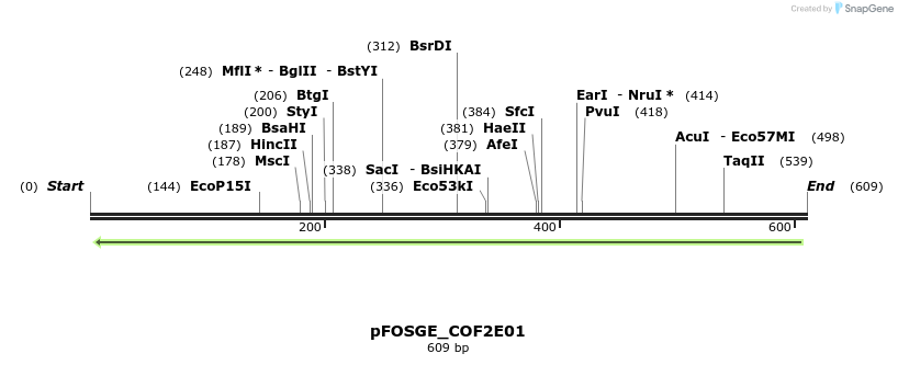 130787_map