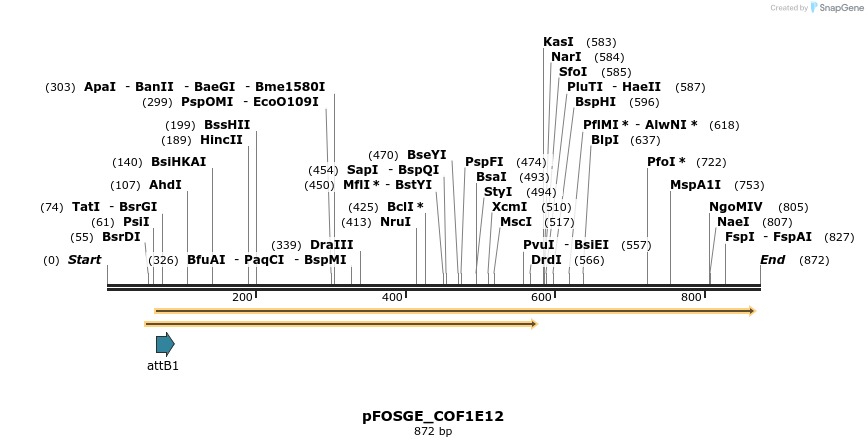 130788_map