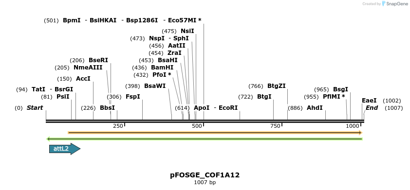 130790_map