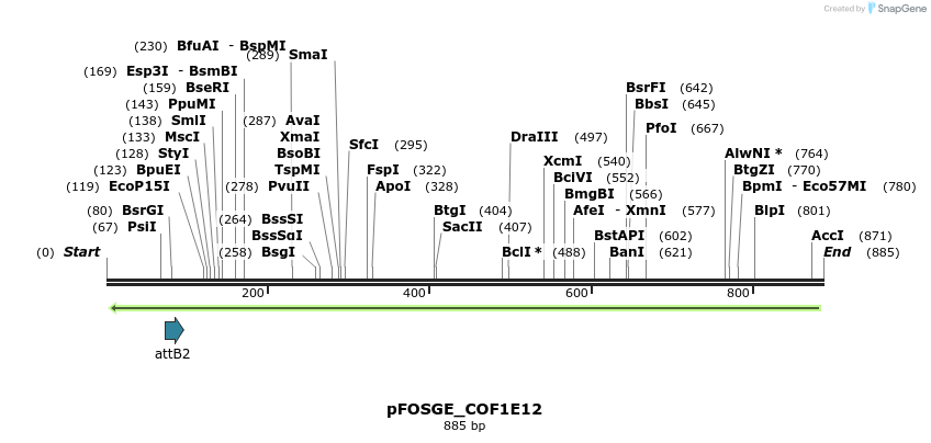 130791_map