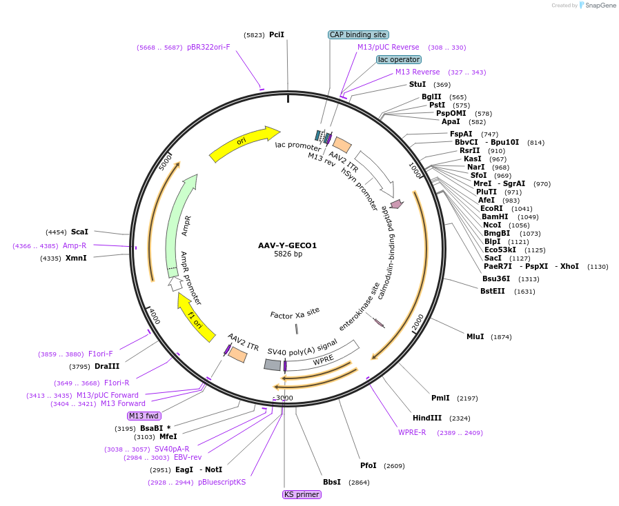 130794_map