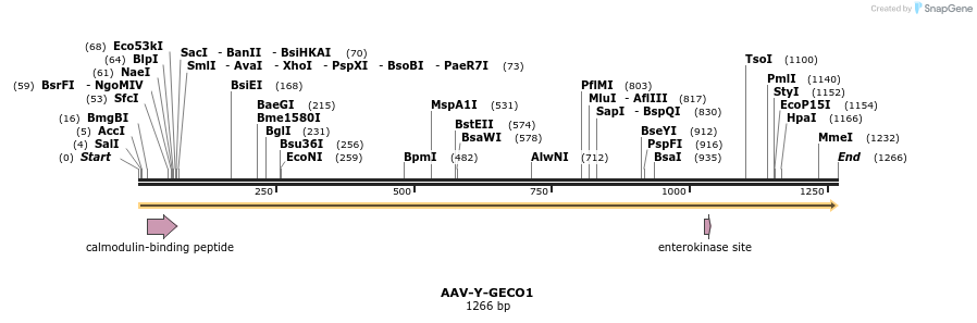 130795_map