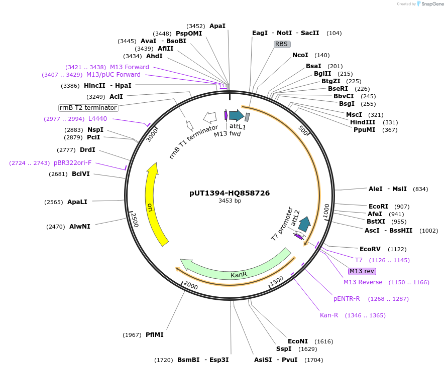 13080_map