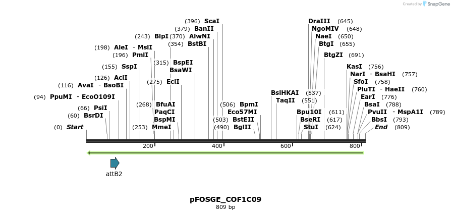 130801_map