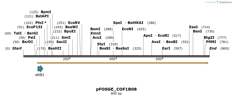 130802_map