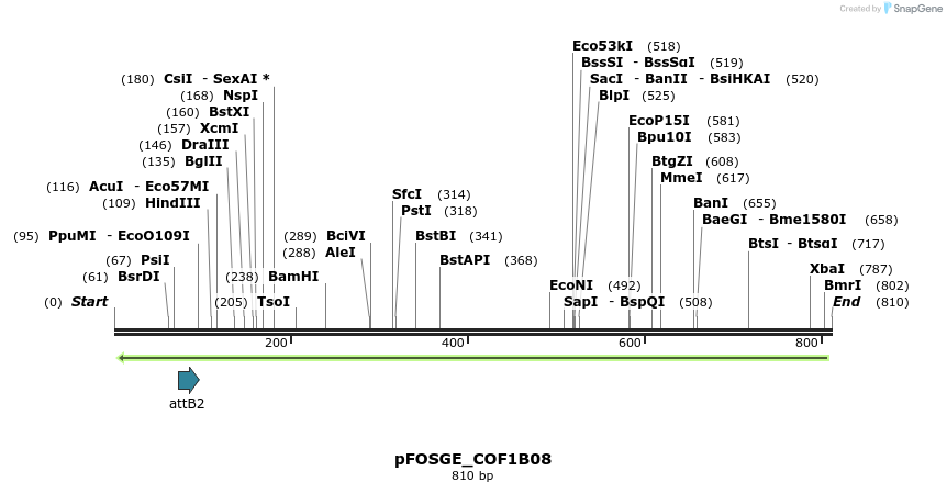 130803_map