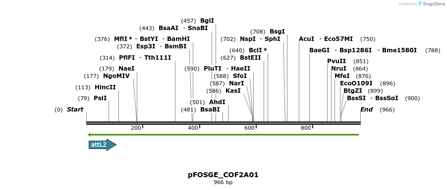 130805_map
