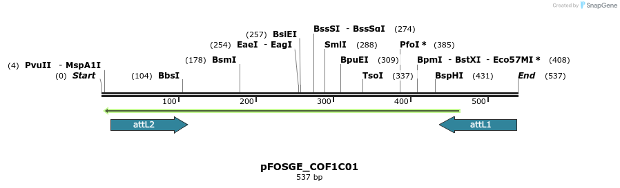 130811_map