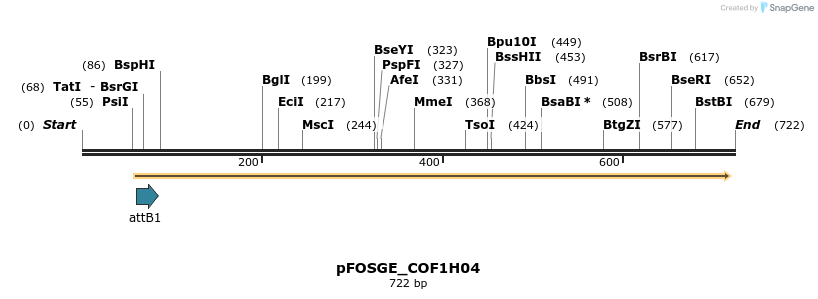 130817_map
