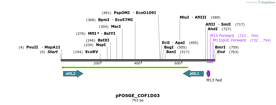 130822_map