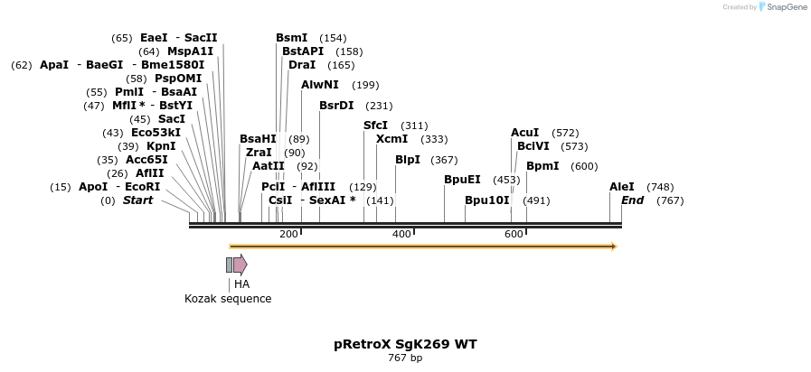 130823_map