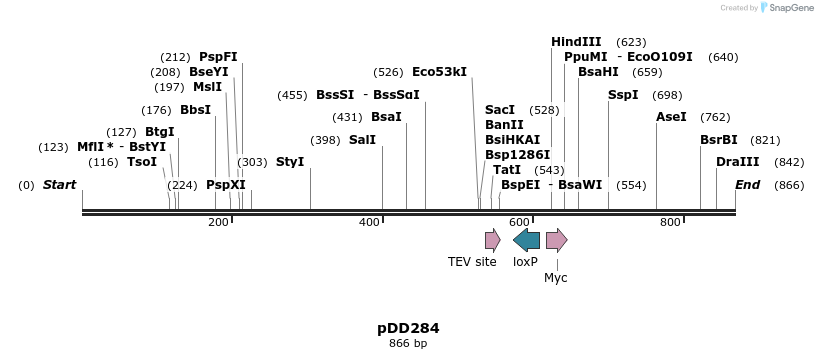 130825_map