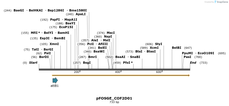 130833_map