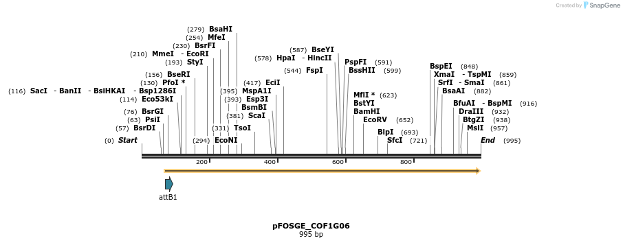 130835_map