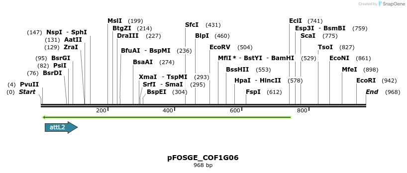 130836_map