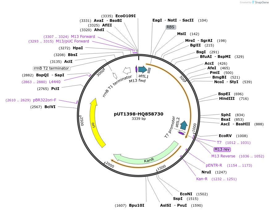 13084_map