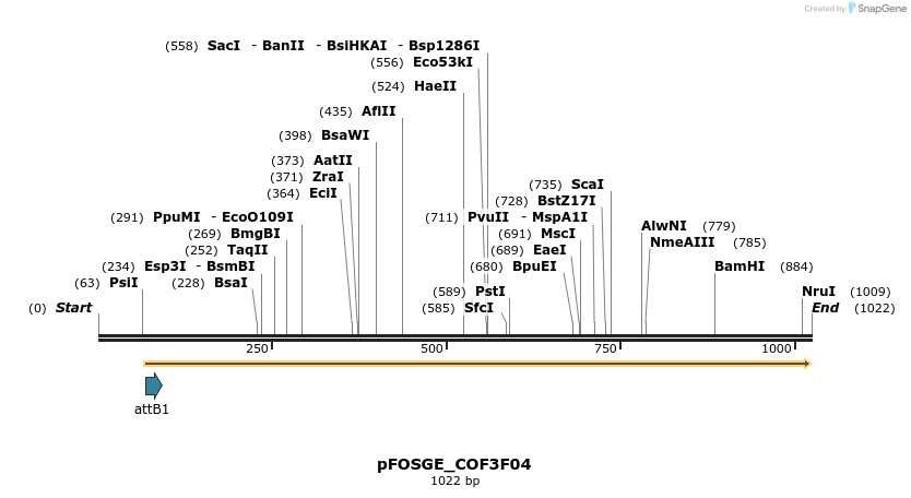 130843_map