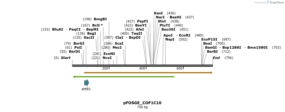 130845_map