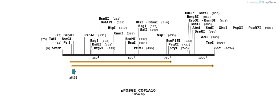 130848_map