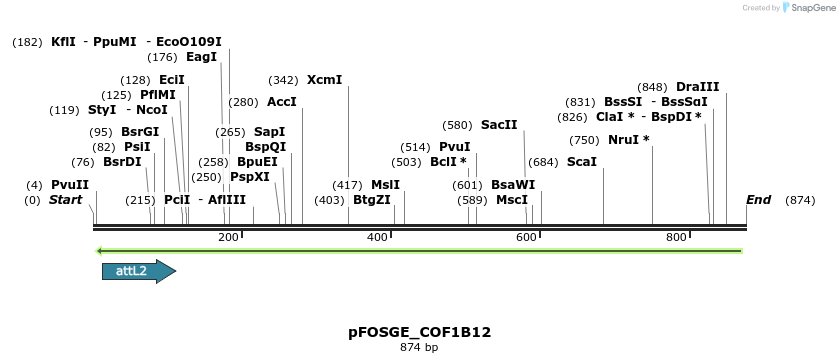 130852_map