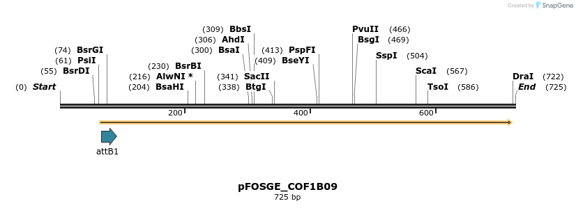 130853_map