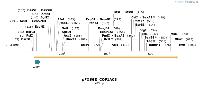 130854_map