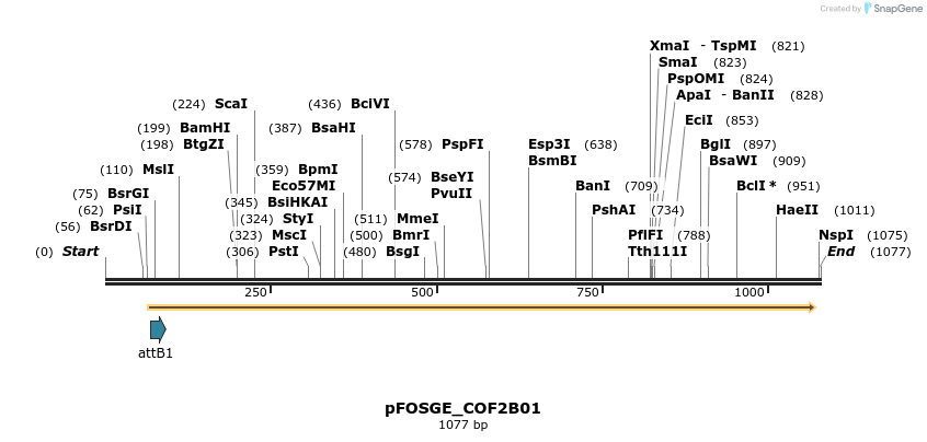 130855_map