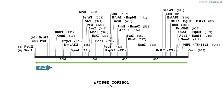 130856_map