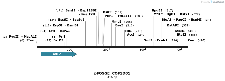 130858_map