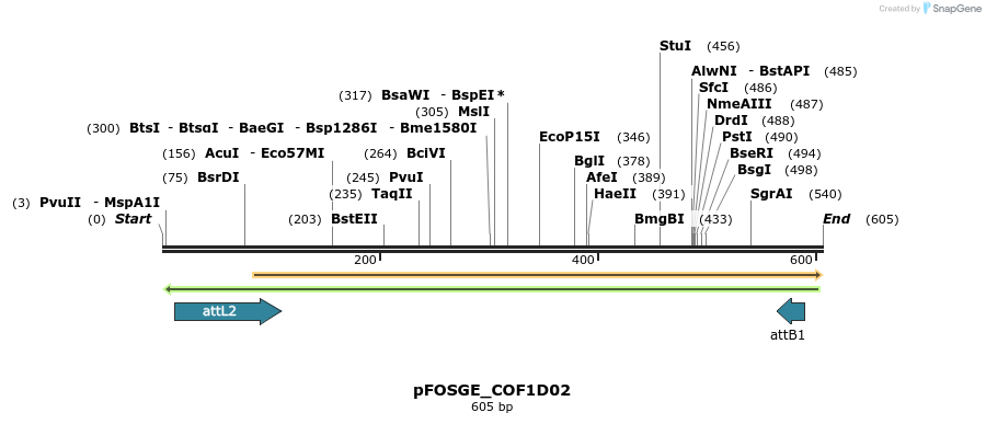 130862_map