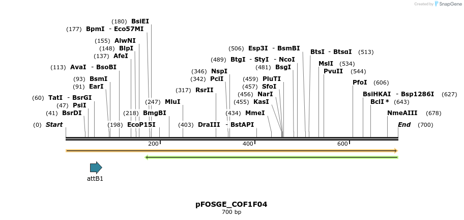 130863_map