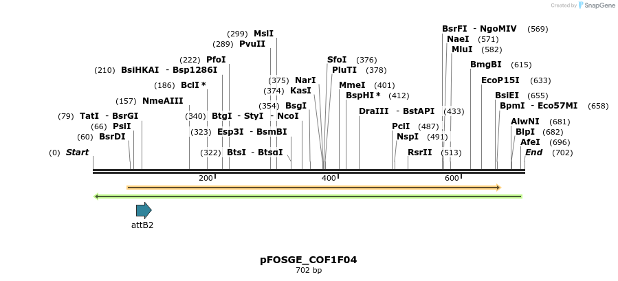 130865_map