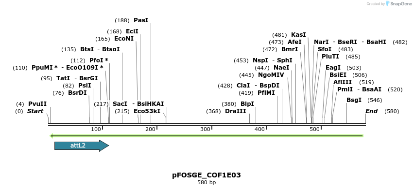 130867_map