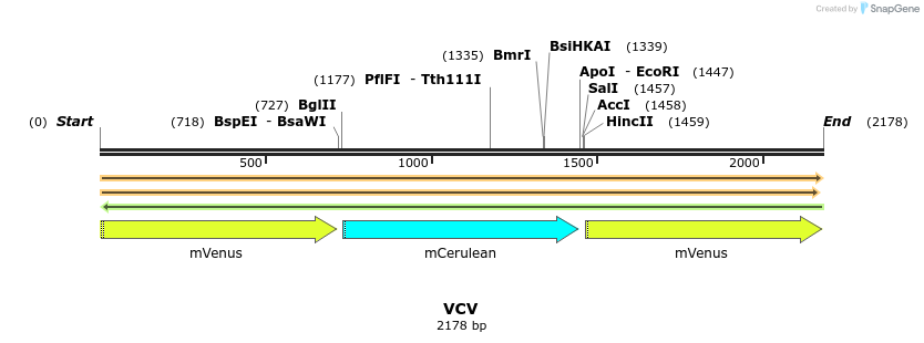13087_map