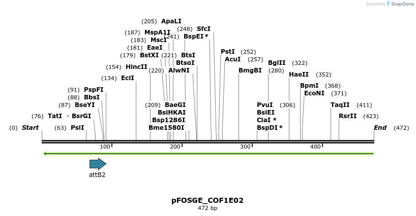 130871_map