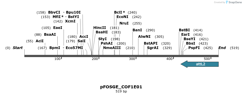 130872_map