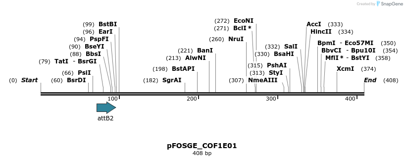 130873_map