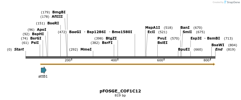130877_map