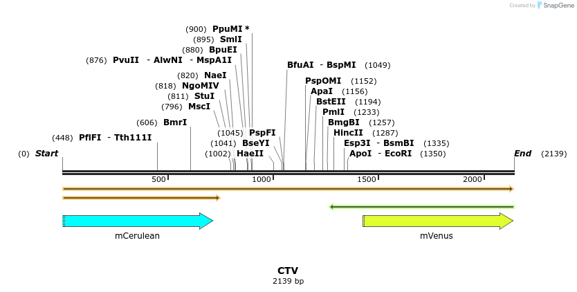 13088_map